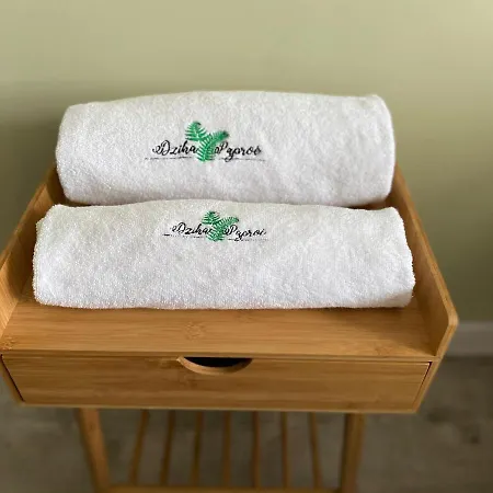 Apartment Dzika Paproc Szczawnica