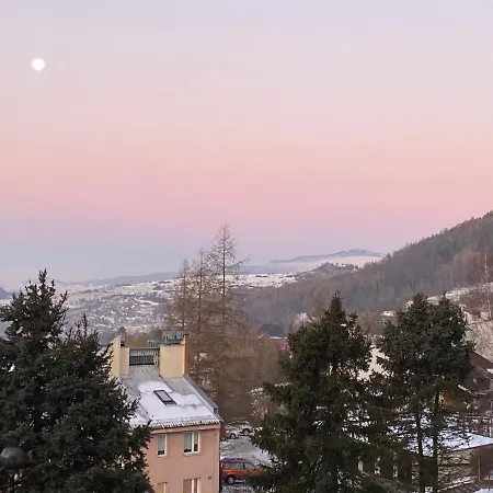 Dzika Paproć Szczawnica
