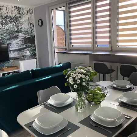 Dzika Paproć Apartament