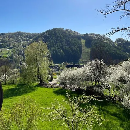 Dzika Paproć Apartament *