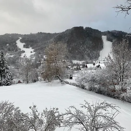 Apartment Dzika Paproc