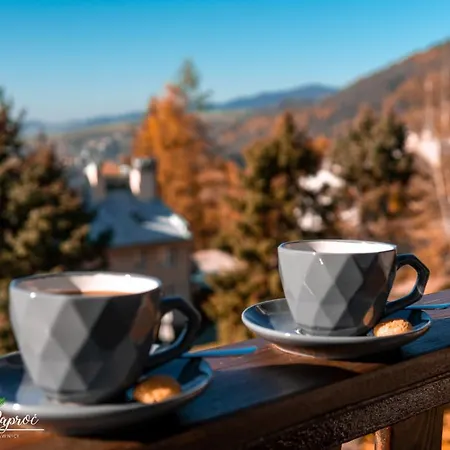 Dzika Paproc Apartment Szczawnica