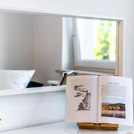 Dzika Paproc Apartment Szczawnica