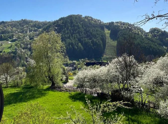 Dzika Paproc דירה *