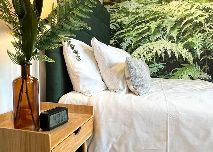 Dzika Paproc דירה